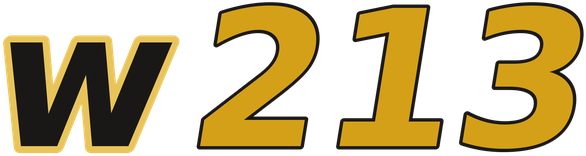 w213 logo